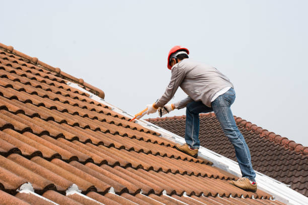 Best Gutter Installation and Repair  in Brent, FL
