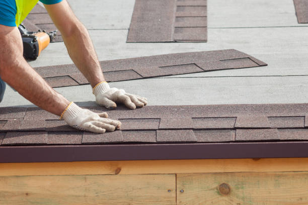Best Emergency Roof Repair Services  in Brent, FL